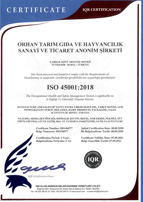 ISO 45001-2018