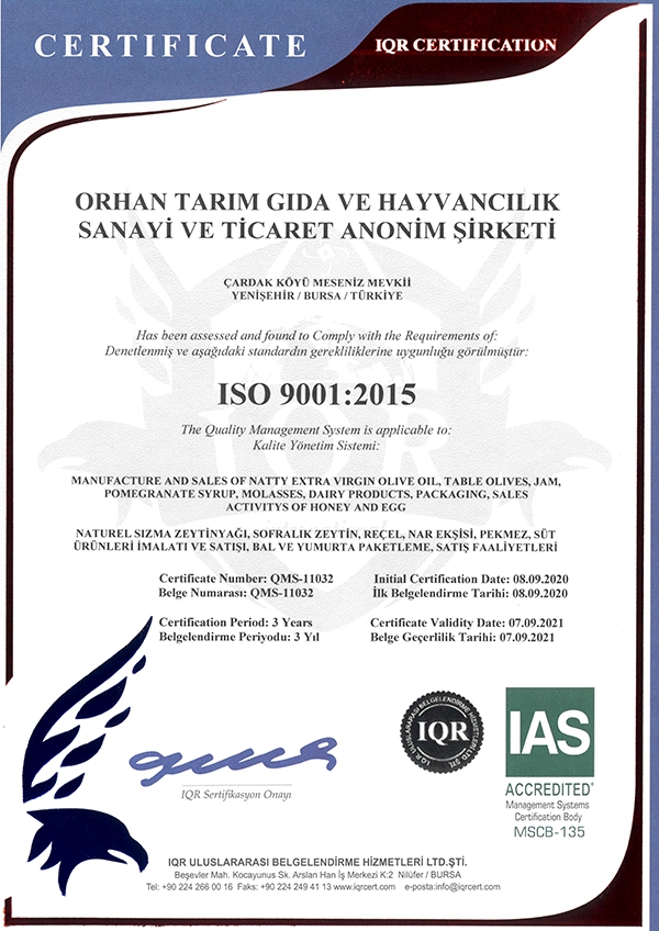 ISO 9001-2015