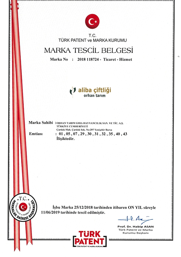 Marka Tescil Belgesi